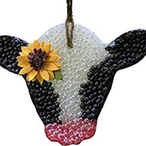 Meet your Posher, Graisyn